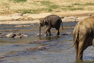 Botswana