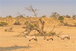 Botswana