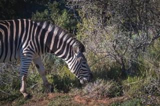 Botswana