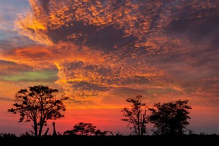 Botswana