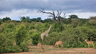 Botswana