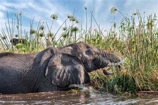 Botswana