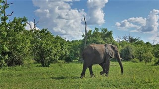 Botswana