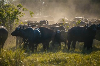 Botswana