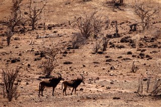 Botswana