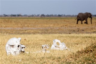 بوتسوانا