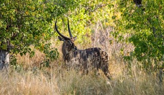 Botswana