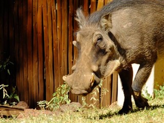 Botswana