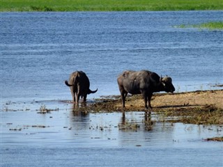 Botswana