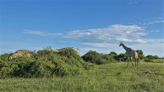 Botswana
