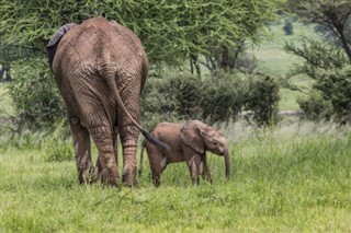 Botswana