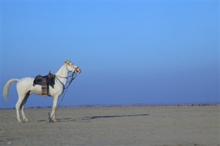 Боцвана