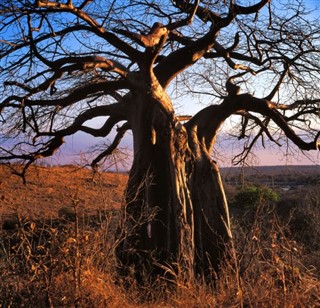 Botswana