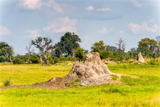 বোট্স্বানা