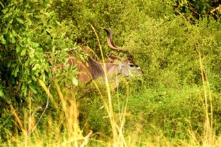 Botswana