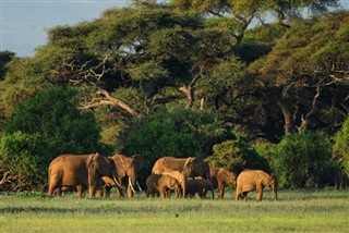 Botswana