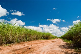 Brazília