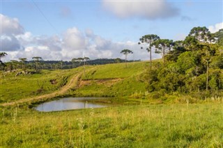 Brasil