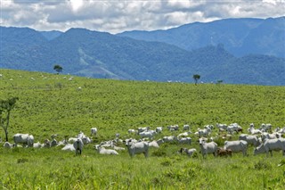 Brasilía