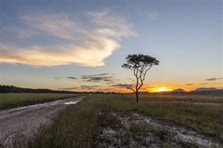 Brasilia