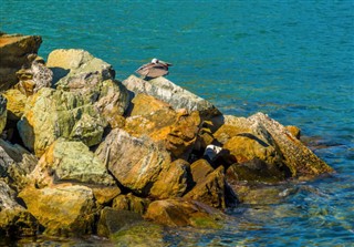 イギリス領バージン諸島