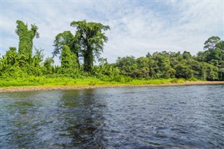 ব্রুনেই