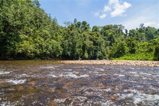 ব্রুনেই