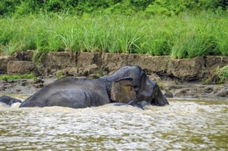 புரூணை