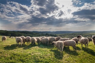 България