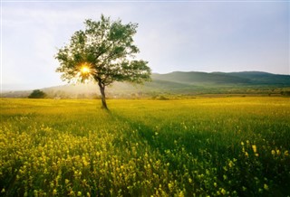 बुल्गारिया