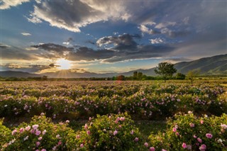 Bulgarien