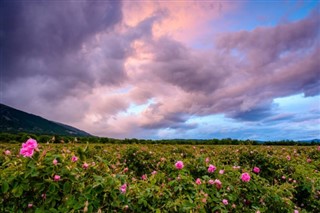 България