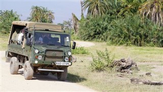 برکینا