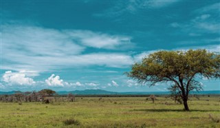 বুর্কিনা