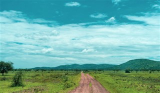 বুর্কিনা