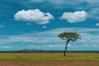 বুর্কিনা