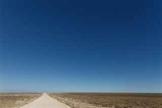 בורקינה