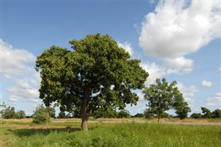 Burkina