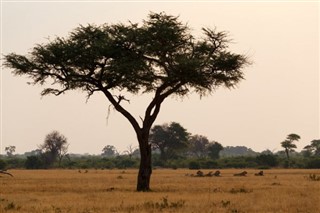 Burkina