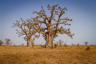 Burkina