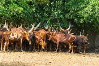 Burundi