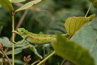 บุรุนดี