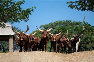 Burundi