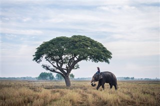 Cambodia