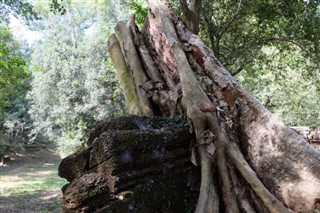 Cambodia