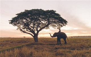 Cambodia