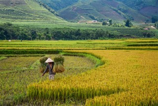 Cambodge