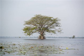 Camboya