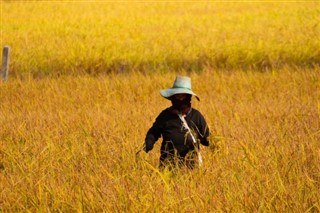 Camboja