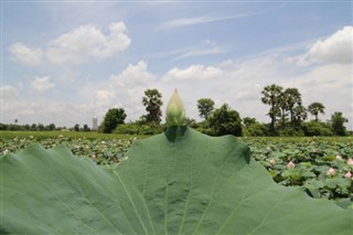 Camboja